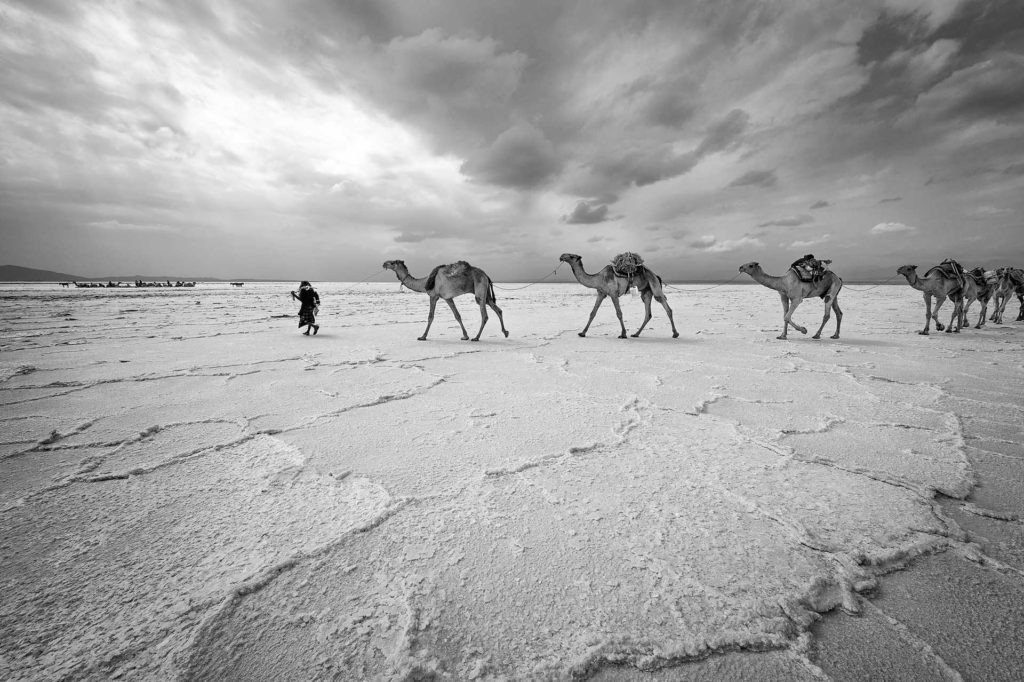 ethiopia-lake-asale-afar-salt caravan